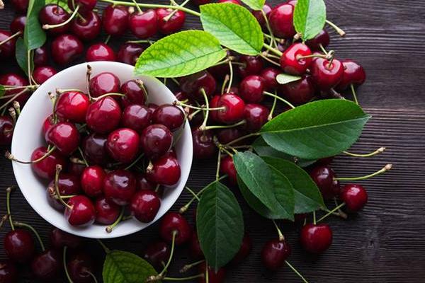 車厘子產(chǎn)地在哪里 車厘子是什么水果