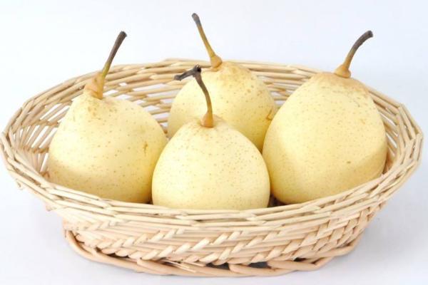 鴨梨是什么東西 為什么叫鴨梨