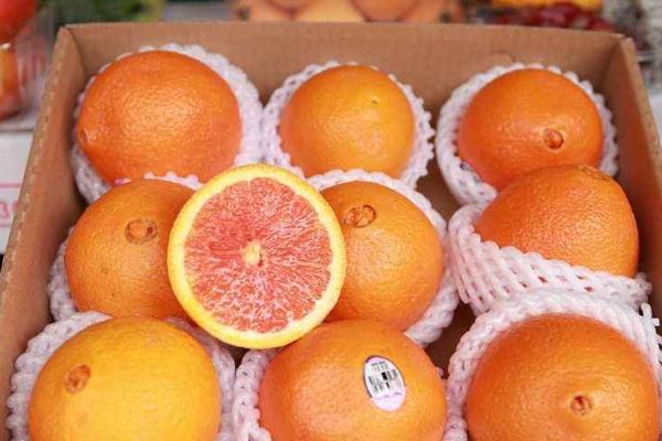 血橙圖片大全 吃血橙有什么好處