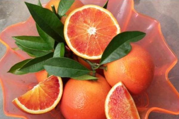 血橙圖片大全 吃血橙有什么好處