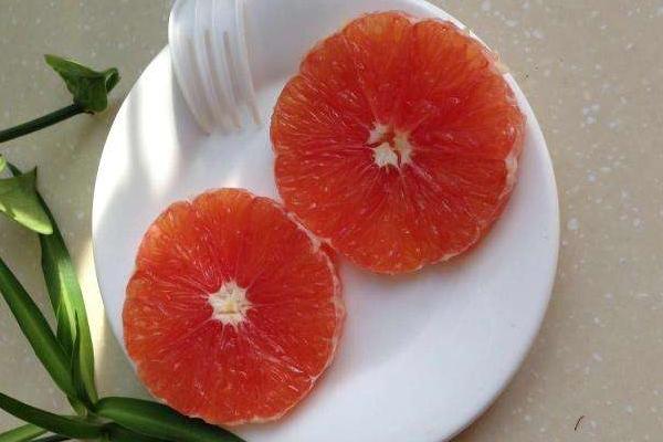 血橙圖片大全 吃血橙有什么好處