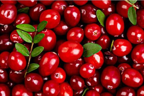 蔓越莓的功效與作用及禁忌 蔓越莓營(yíng)養(yǎng)價(jià)值