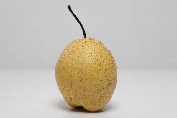 鴨梨是什么東西 為什么叫鴨梨