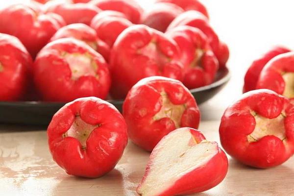 蓮霧怎么種 蓮霧種植技術(shù)與注意事項