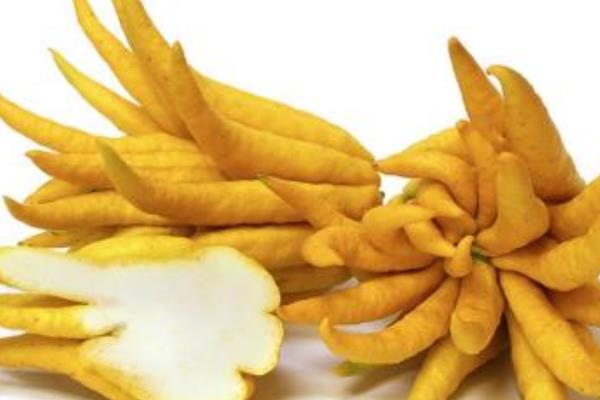 佛手柑的功效與作用及禁忌佛手柑營養價值