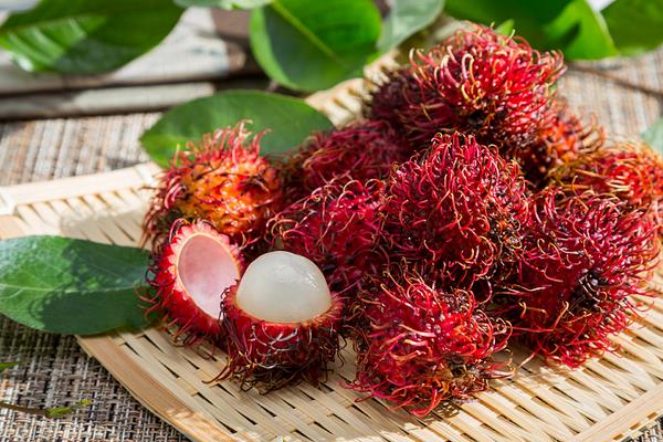 紅毛丹什么時候成熟 紅毛丹是什么季節的水果