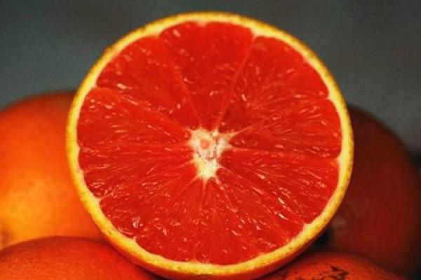 血橙樹苗市場價格多少錢一棵 血橙都有哪些品種