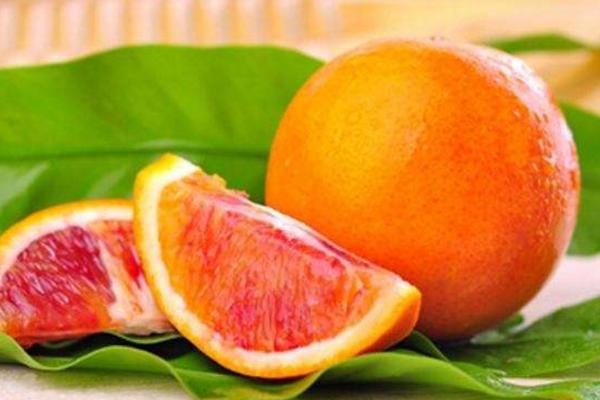 血橙樹苗市場價格多少錢一棵 血橙都有哪些品種