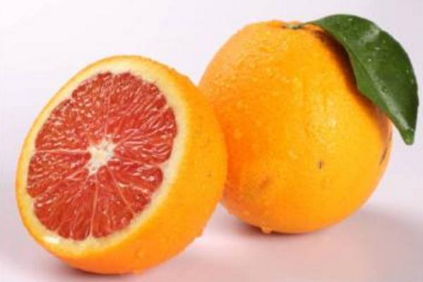 血橙樹苗市場價格多少錢一棵 血橙都有哪些品種