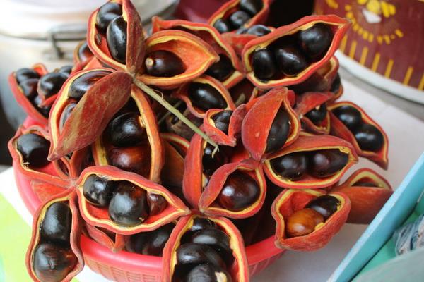 鳳眼果市場(chǎng)價(jià)格多少錢一斤 鳳眼果的營(yíng)養(yǎng)價(jià)值