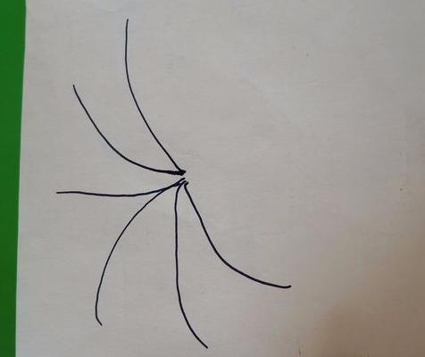 香蕉樹怎么畫 香蕉樹簡筆畫圖解