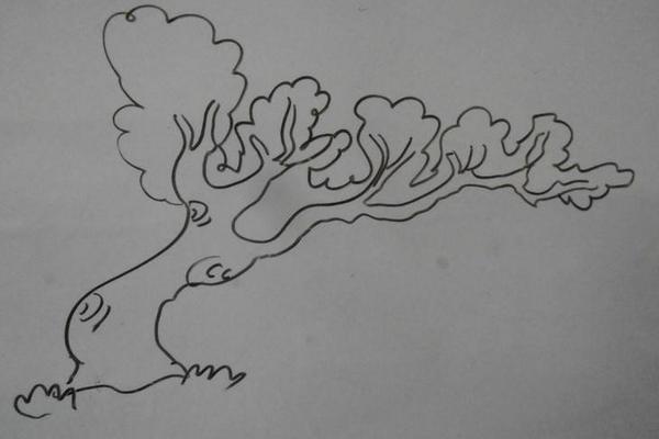 香蕉樹怎么畫 香蕉樹簡筆畫圖解