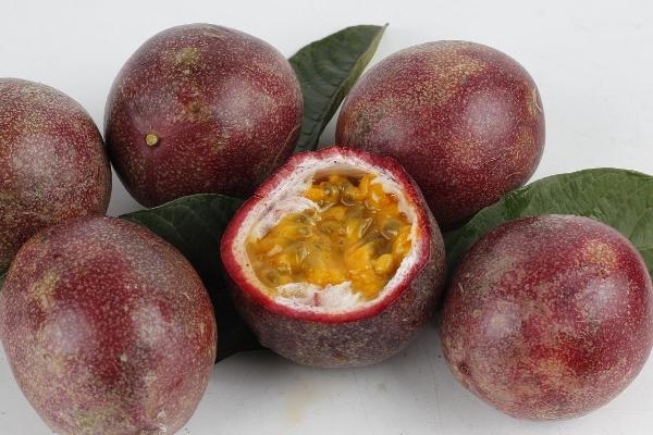 百香果怎么保存 百香果的長期保存方法