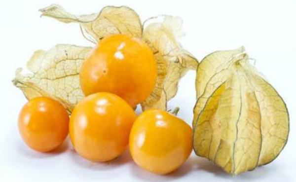 姑娘果什么時(shí)候種 姑娘果是什么季節(jié)的水果