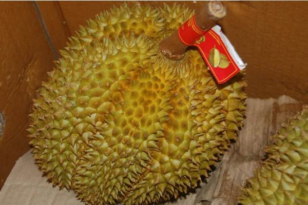 吃榴蓮上火嗎 吃榴蓮要注意什么