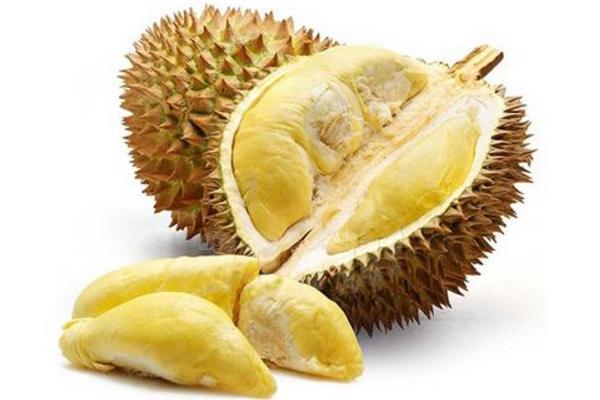 榴蓮幾月份最便宜 什么樣的榴蓮好