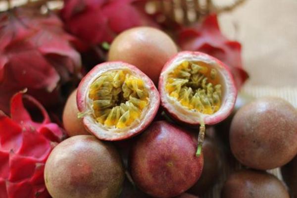 百香果什么時(shí)候成熟（幾月） 百香果什么季節(jié)上市