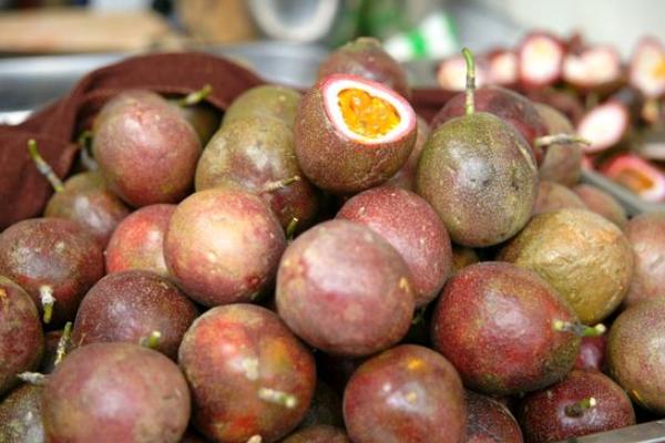 百香果什么時(shí)候成熟（幾月） 百香果什么季節(jié)上市