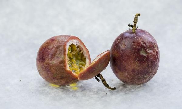 百香果為什么不能冷凍 百香果怎么樣算熟