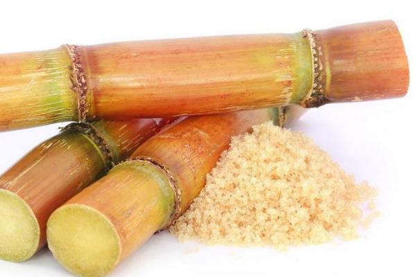 甘蔗糖功效與作用 甘蔗糖市場價格多少錢一斤