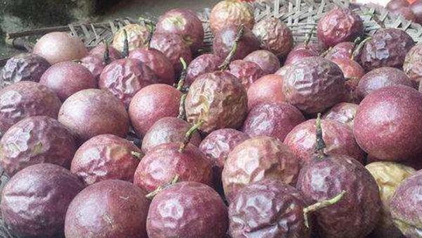 百香果為什么不能冷凍 百香果怎么樣算熟