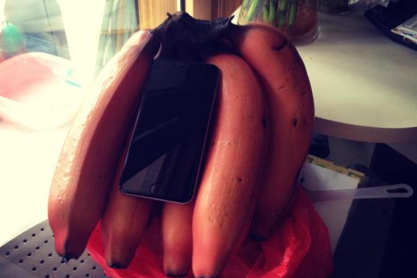 紅香蕉市場價格多少錢一斤 紅香蕉產地在哪里