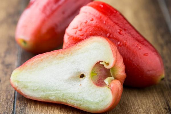 蓮霧樹苗市場價格多少錢一棵 吃蓮霧的好處有哪些