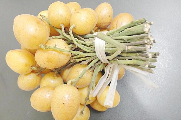 黃皮果的功效與作用及禁忌 黃皮果營(yíng)養(yǎng)價(jià)值