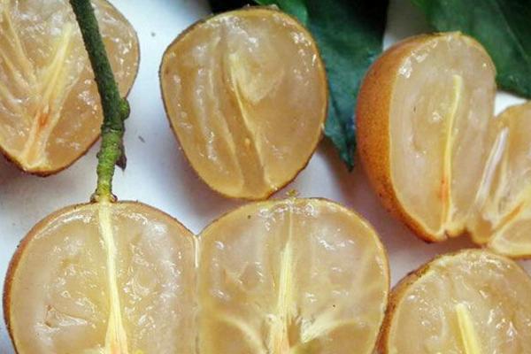 黃皮果的功效與作用及禁忌 黃皮果營養(yǎng)價值