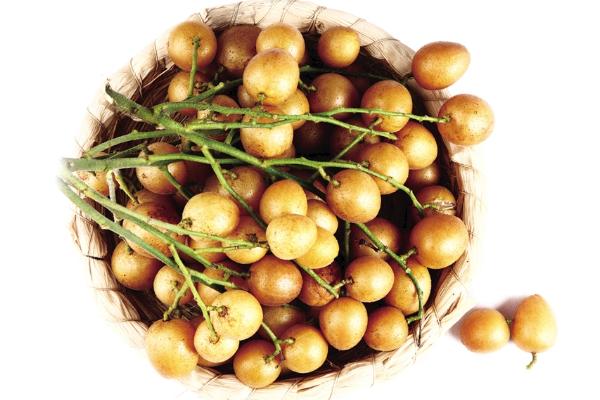 黃皮果怎么種 黃皮果種植技術與注意事項