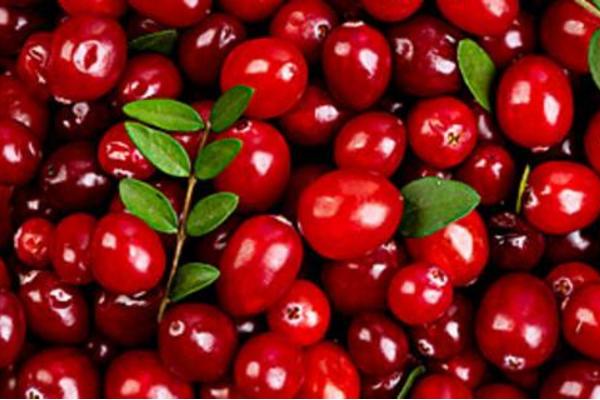 蔓越莓市場價格多少錢一斤 如何挑選蔓越莓