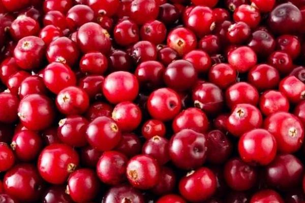 蔓越莓市場價格多少錢一斤 如何挑選蔓越莓