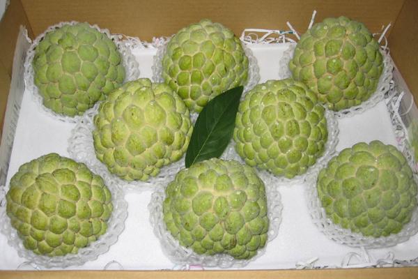 釋迦果怎么挑選 釋迦果怎么保存