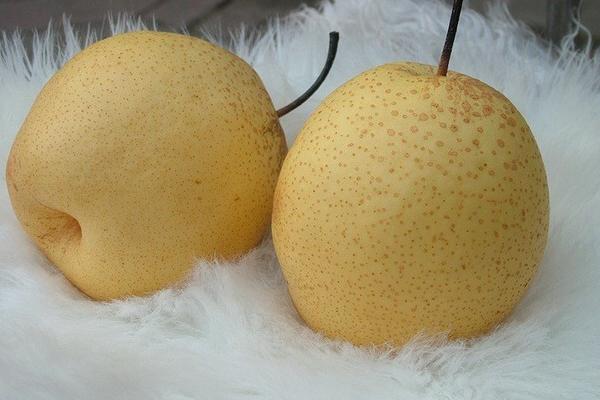 雪梨是雪花梨嗎 雪花梨市場(chǎng)價(jià)格多少錢(qián)一斤