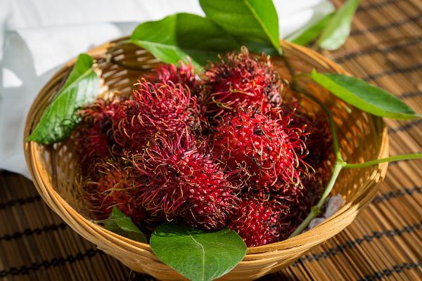 紅毛丹怎么種 紅毛丹種植技術與注意事項