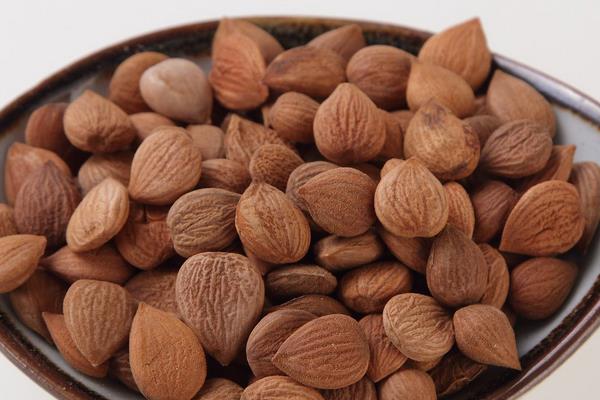 北杏仁功效與作用 北杏仁怎么吃