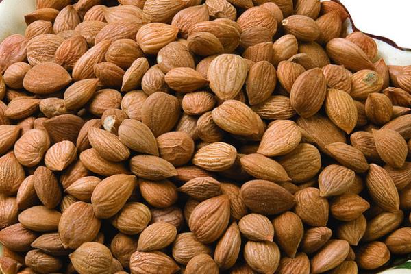 北杏仁功效與作用 北杏仁怎么吃