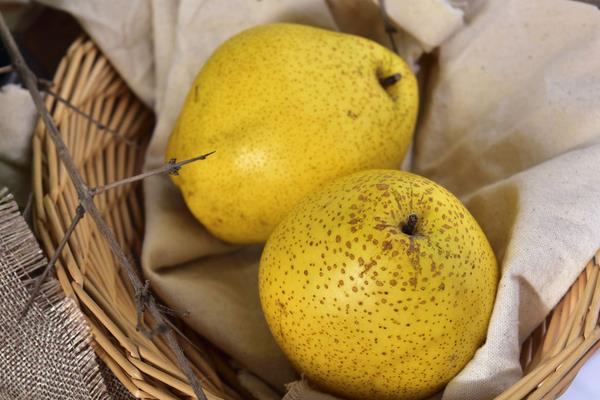 雪花梨功效與作用及禁忌 雪花梨營(yíng)養(yǎng)價(jià)值