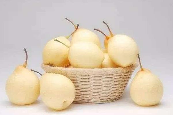 雪花梨功效與作用及禁忌 雪花梨營(yíng)養(yǎng)價(jià)值