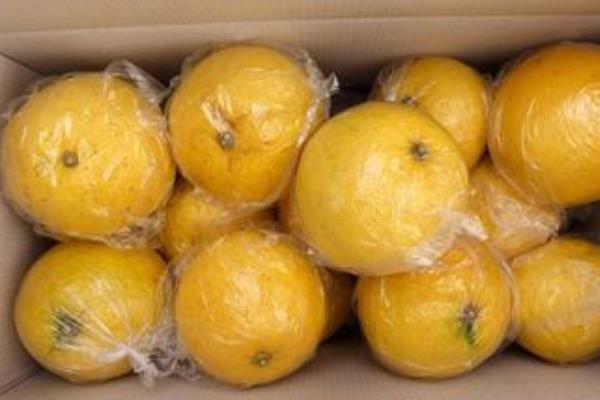 胡柚什么時候成熟(幾月) 胡柚是什么季節的水果