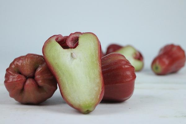 蓮霧市場價格多少錢一斤 新鮮蓮霧怎么保存時間長