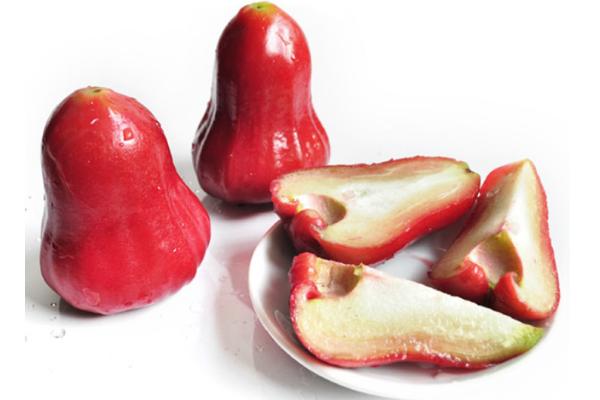 蓮霧是無花果嗎 蓮霧和無花果的區別是什么