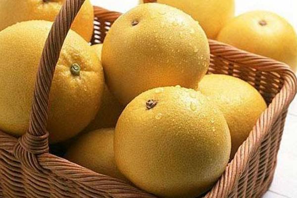 冬果梨的功效與作用及禁忌 冬果梨營養價值