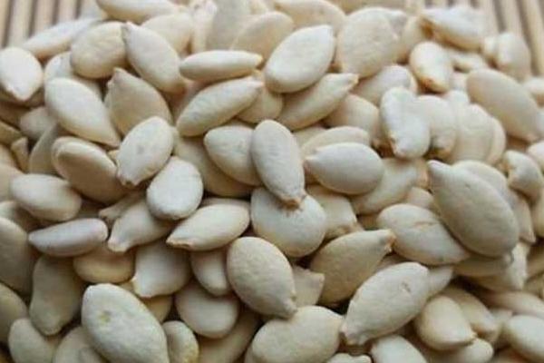 瓜子怎么種 瓜子種的時候要泡嗎