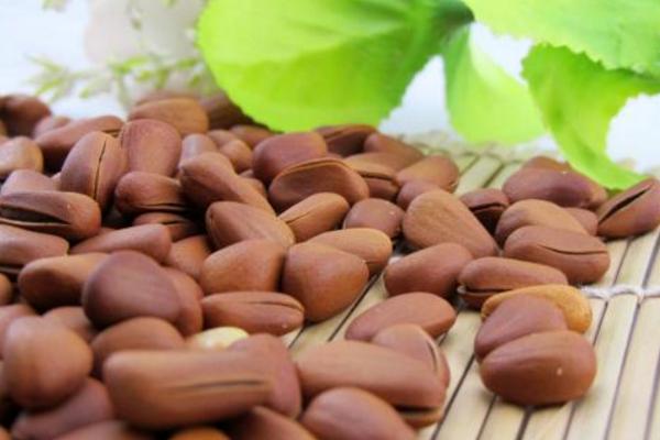 瓜子怎么種 瓜子種的時候要泡嗎