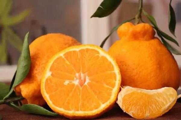 蘆柑和丑橘的區(qū)別是什么 蘆柑和橘子的區(qū)別