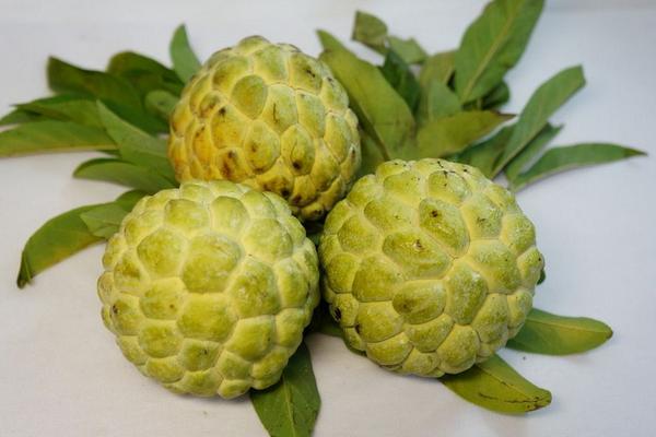  番荔枝和釋迦的區別是什么 釋迦果的營養價值