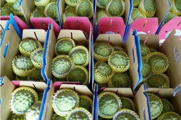  番荔枝和釋迦的區別是什么 釋迦果的營養價值