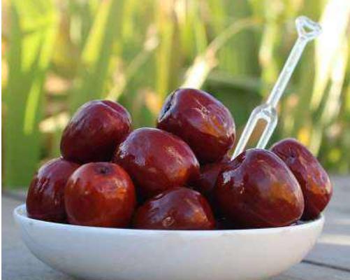 酒棗功效與作用及禁忌 酒棗營養價值