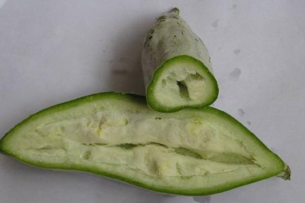 老鼠瓜的功效與作用及禁忌 老鼠瓜營養價值